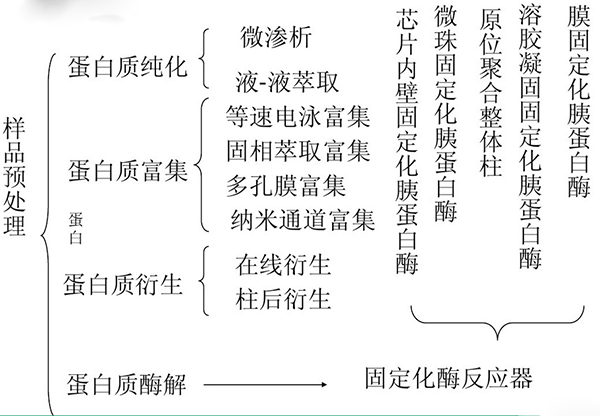 蛋白質樣品與處理技術