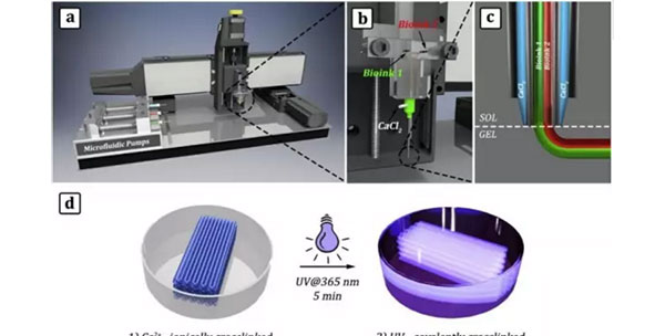 微流控改進的3D生物打印技術