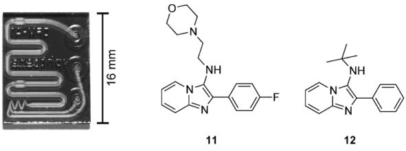 用于合成G蛋白偶聯(lián)受體調(diào)節(jié)化合物的微流控芯片。來自Rodrigues等人的圖片 “通過微流體系統(tǒng)獲得新的化學(xué)實體?！? width=