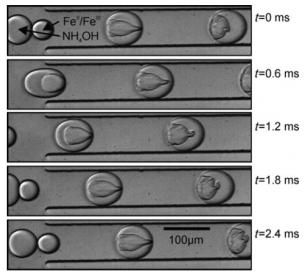 顯示通過氯化鐵溶液液滴與氫氧化銨液滴在通道旁邊的電極施加的電場的影響下形成氧化鐵納米顆粒的圖像。來自Frenz等人的圖片 “用于合成磁性氧化鐵納米粒子的基于液滴的微反應(yīng)器”