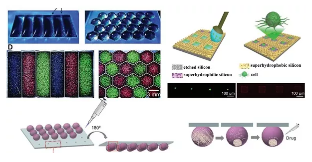 液滴微陣列在細胞方面的應用