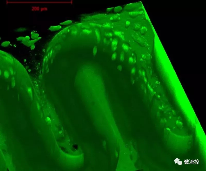 生物相容性水凝膠材料制造的3D打印微結構