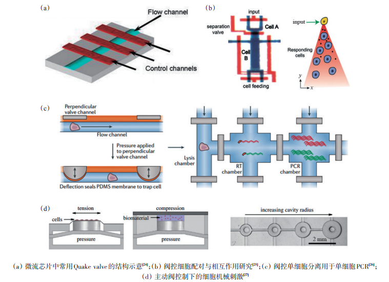 圖2基于主動閥控制的細胞操縱