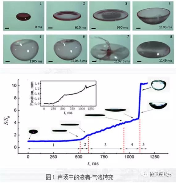 聲場中的液滴-氣泡轉變