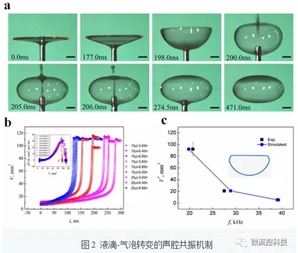 液滴-氣泡轉變的聲控共振機制