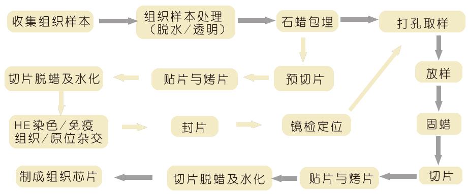 實驗室組建|實驗室設備